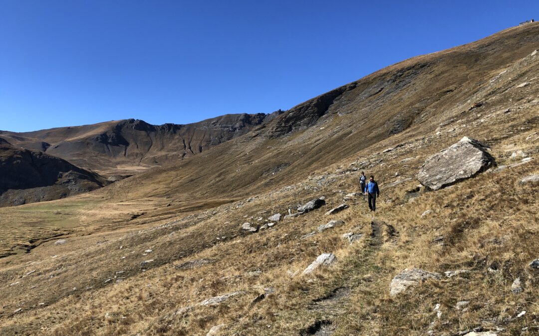 Perchè non invitare i clienti per una passeggiata nella natura?