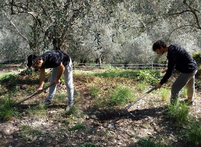 Si può scrivere la tesi ospiti di un ecovillaggio?
