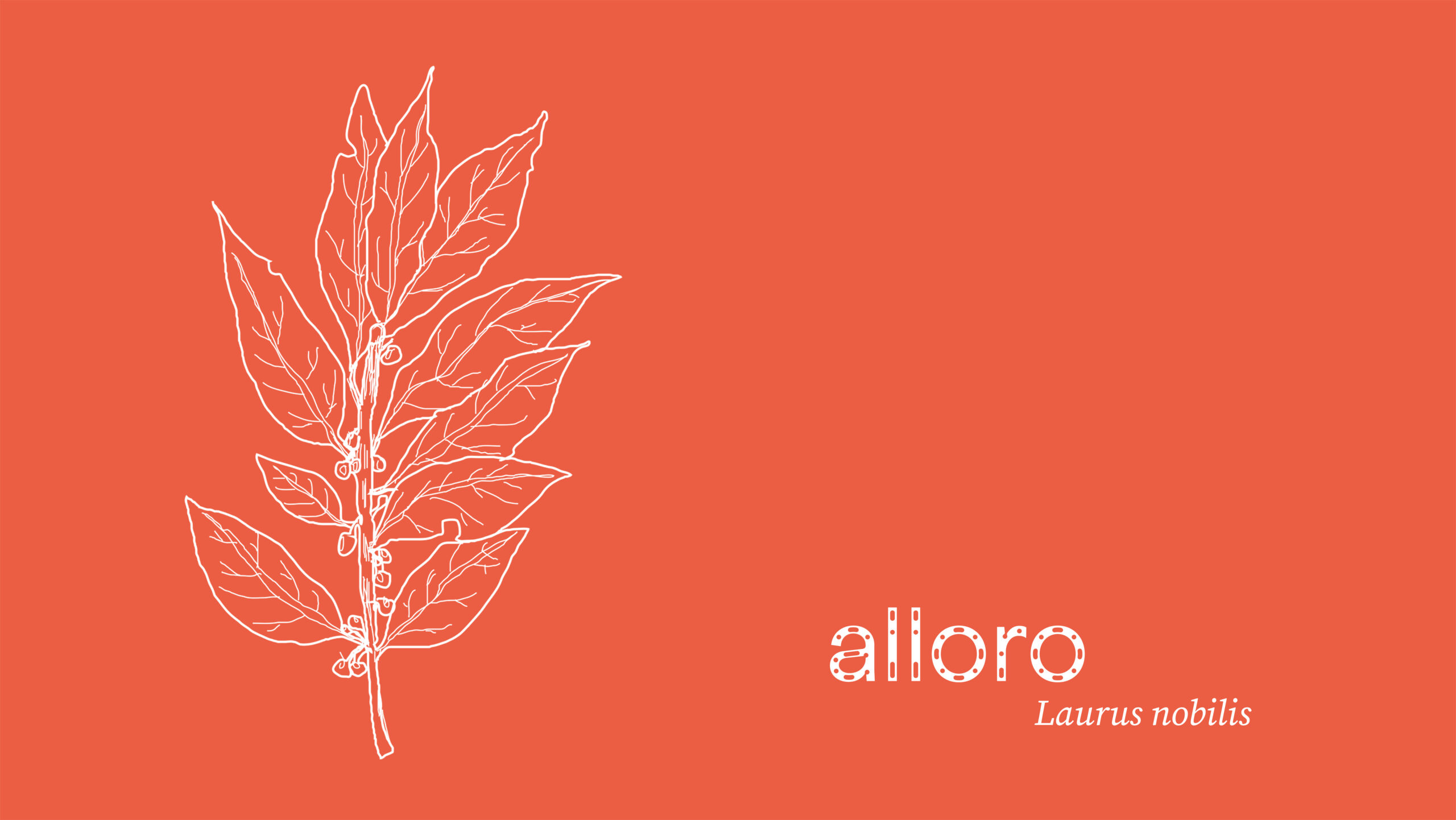 alloro