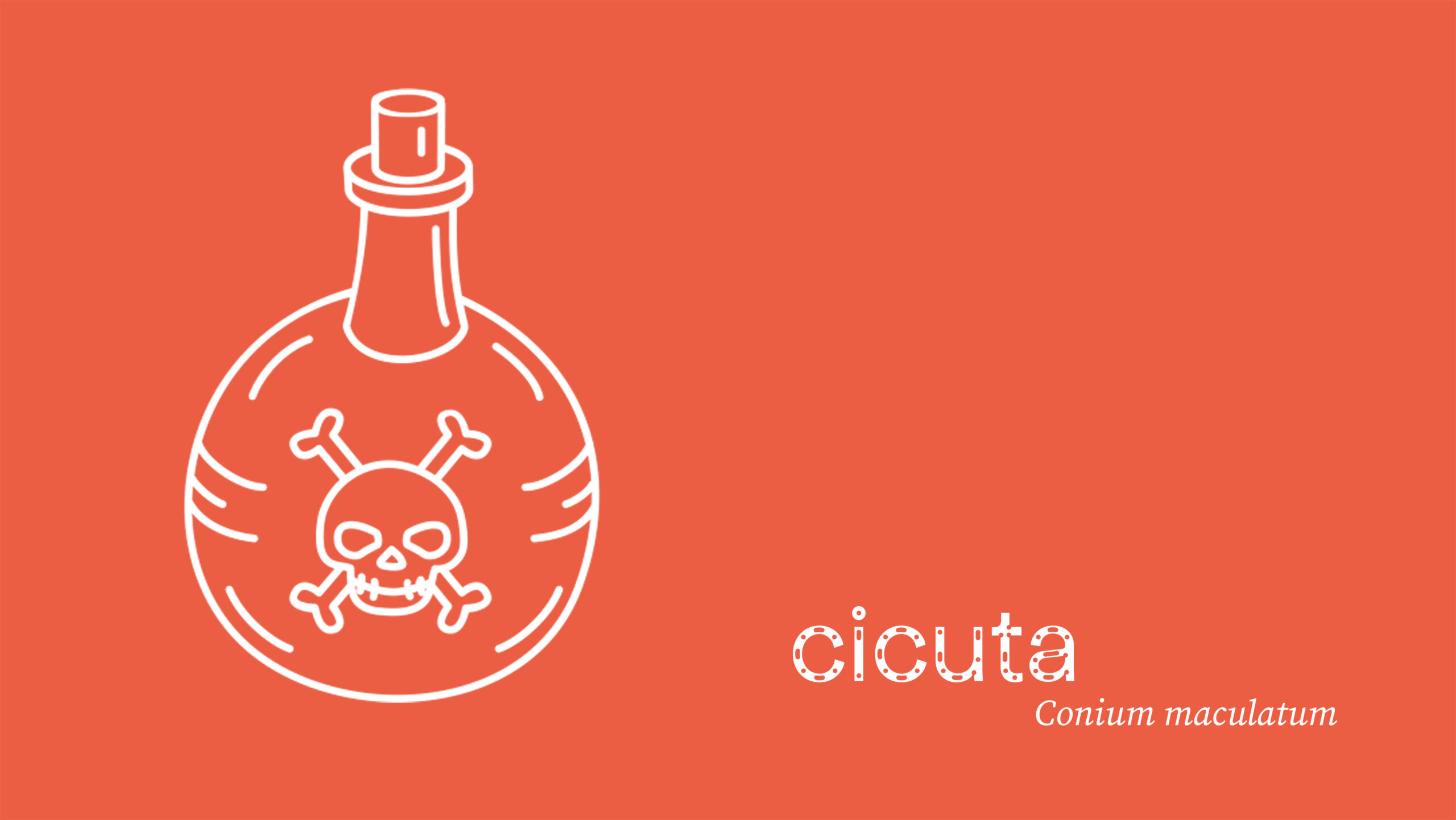 cicuta