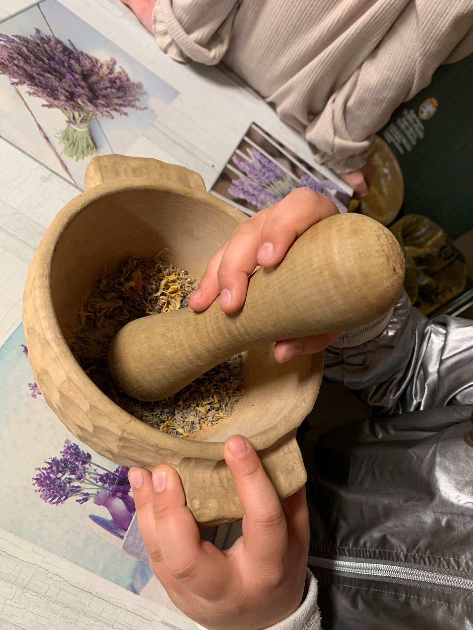 erbario di comunità alla Maison Des Anciens Remedes