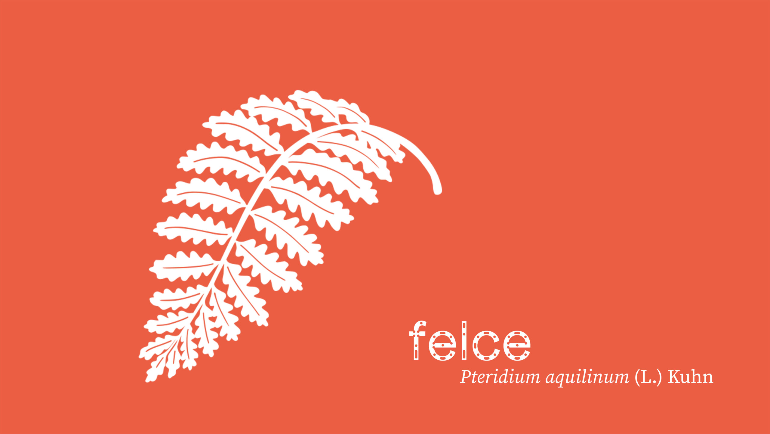 felce