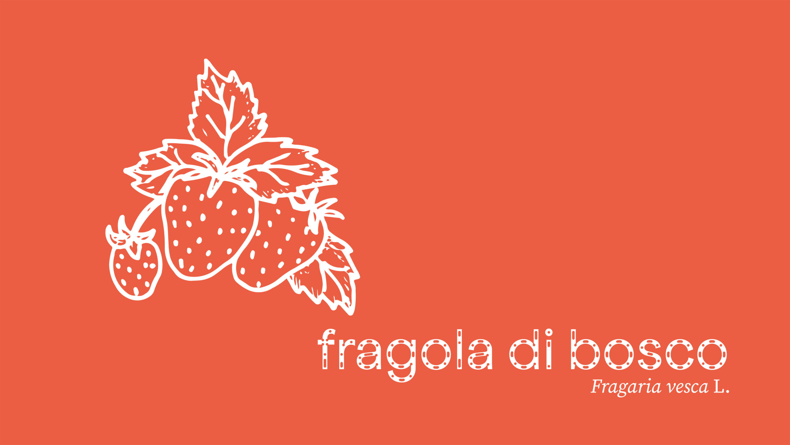 fragola di bosco