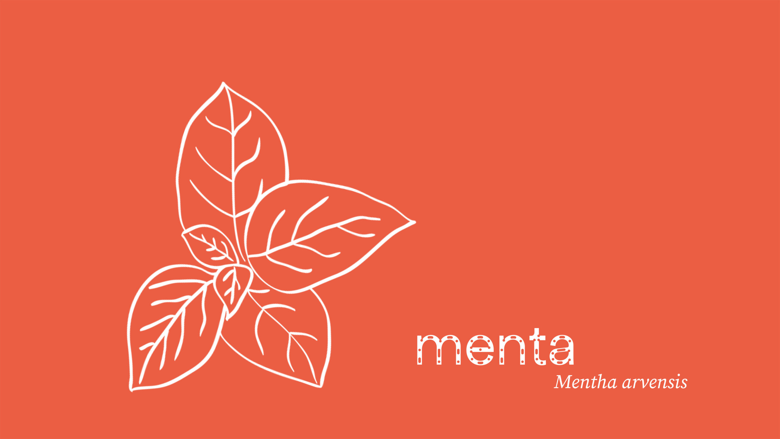 menta