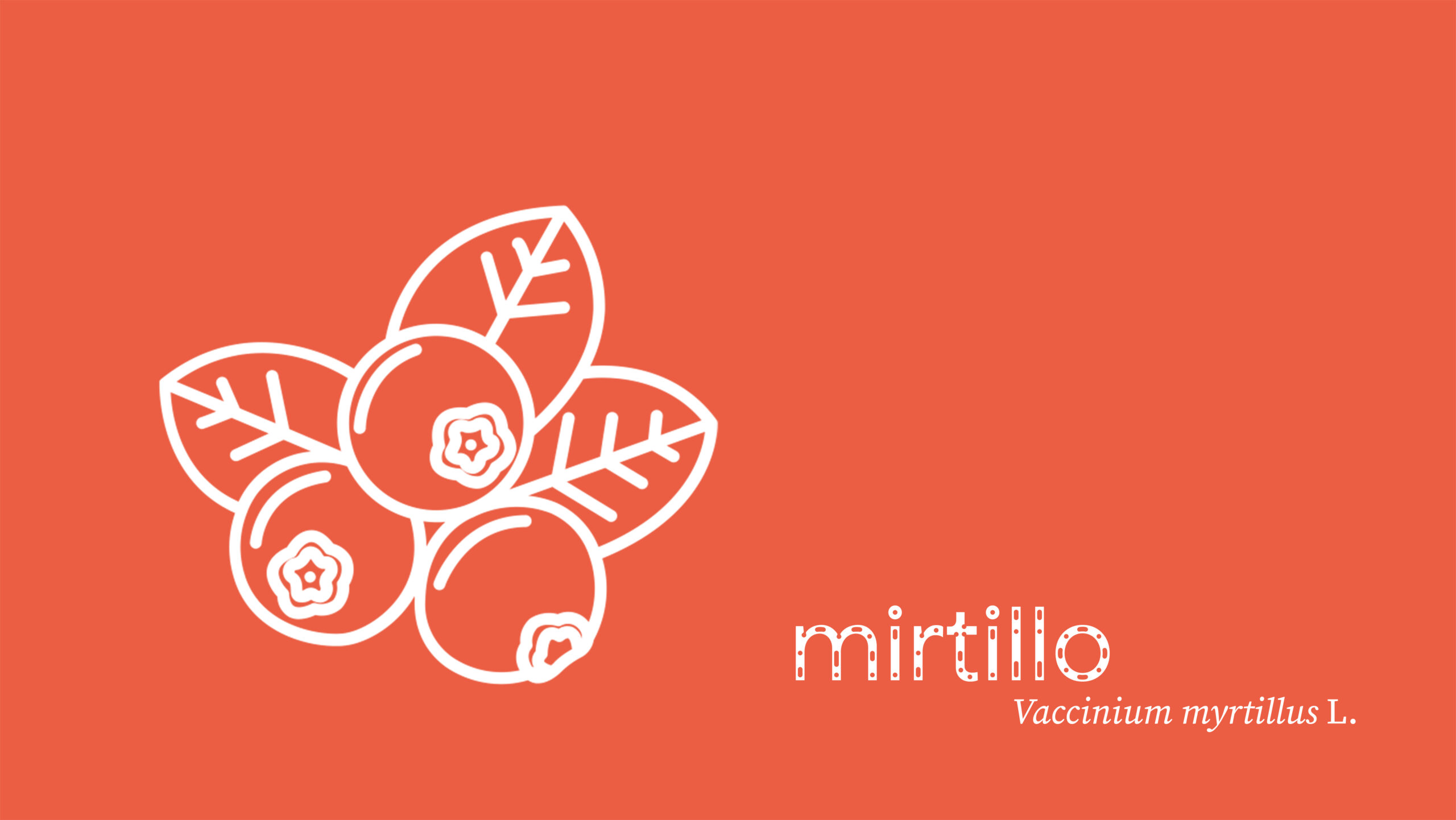 mirtillo