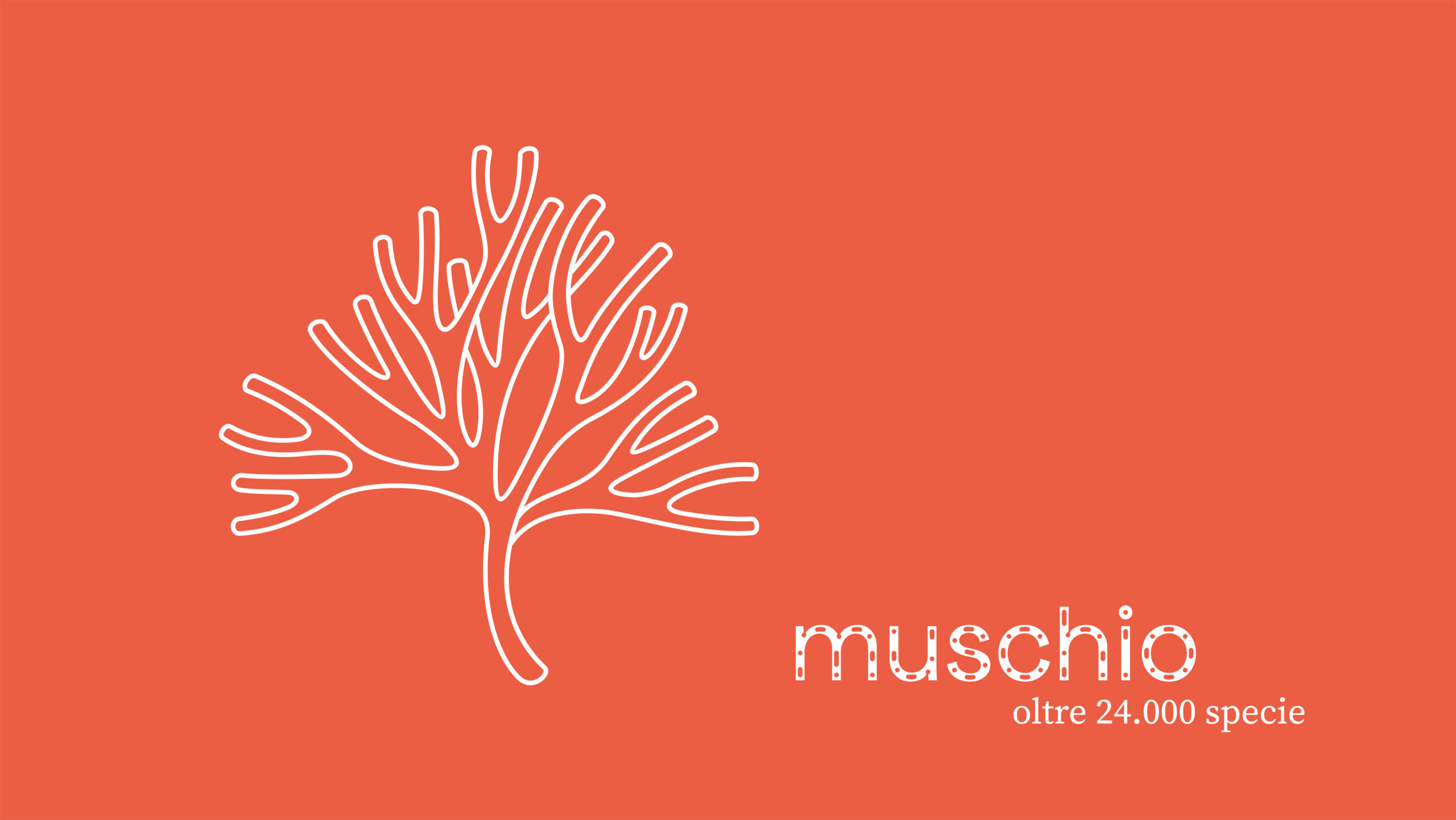 muschio