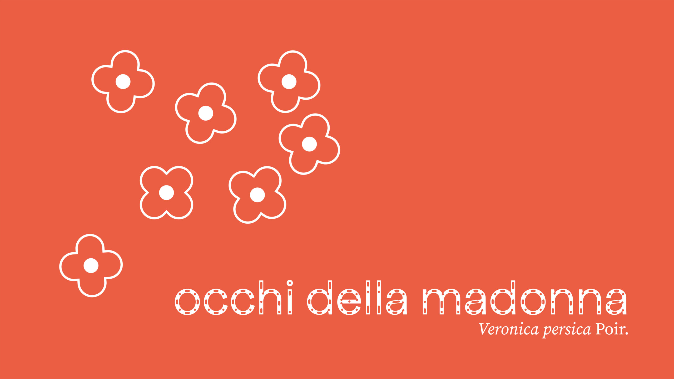 occhi della madonna