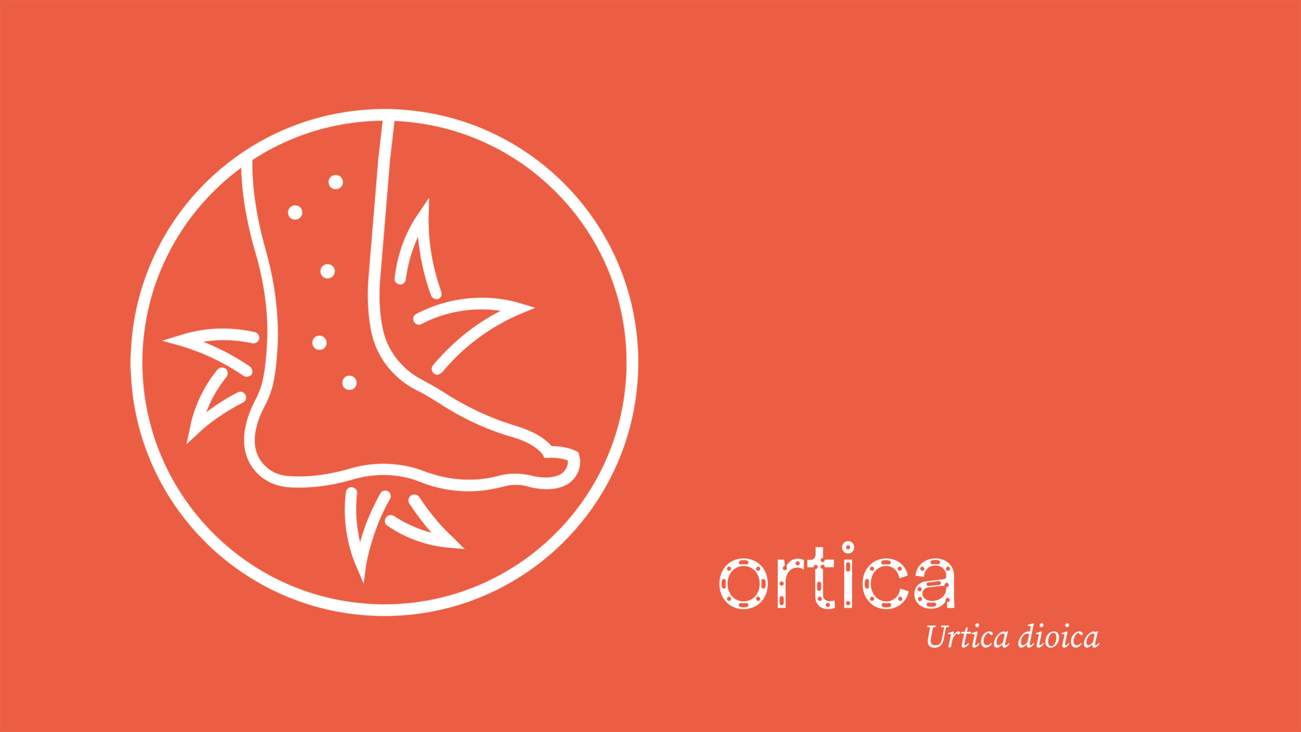 ortica