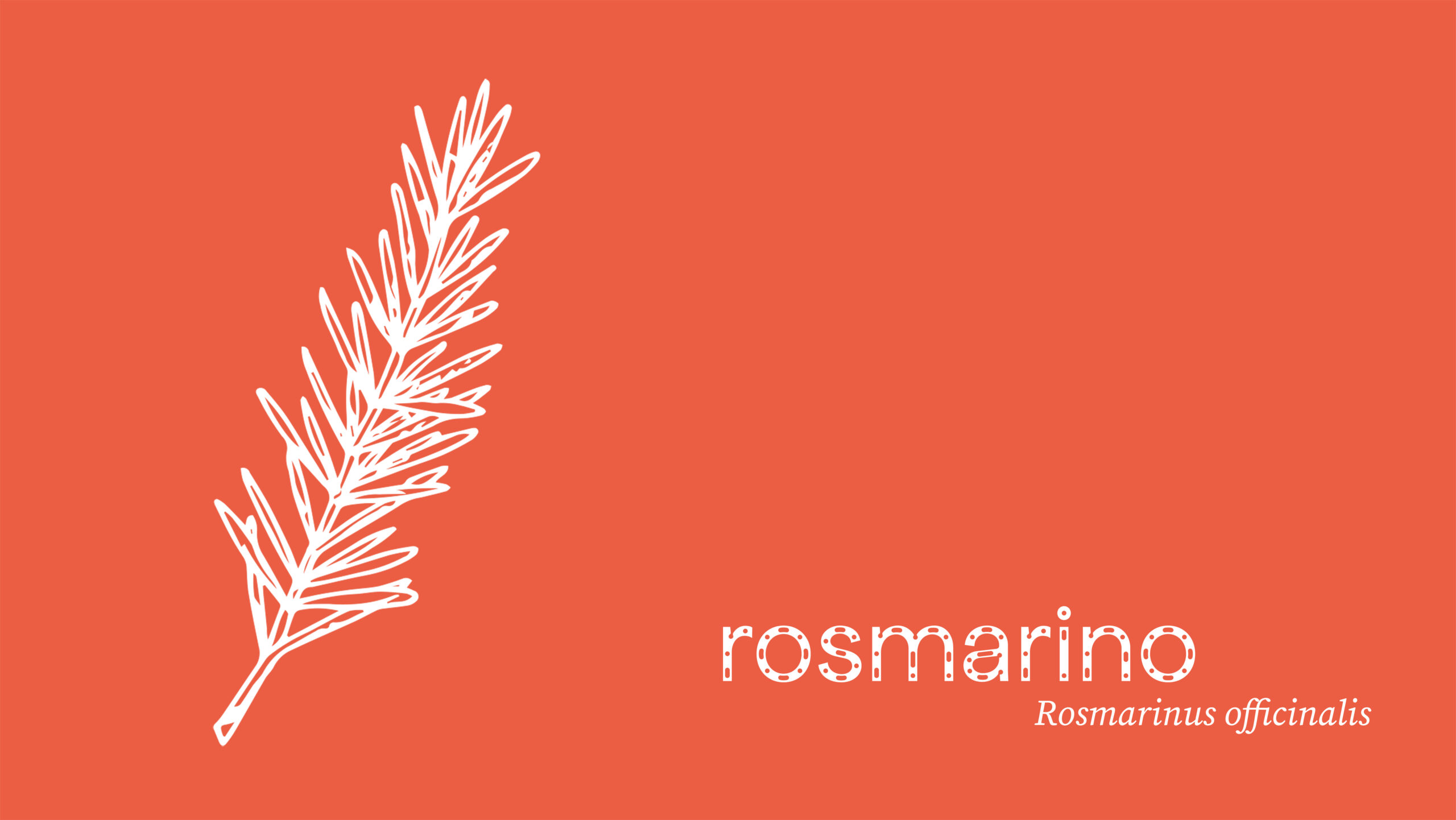 rosmarino