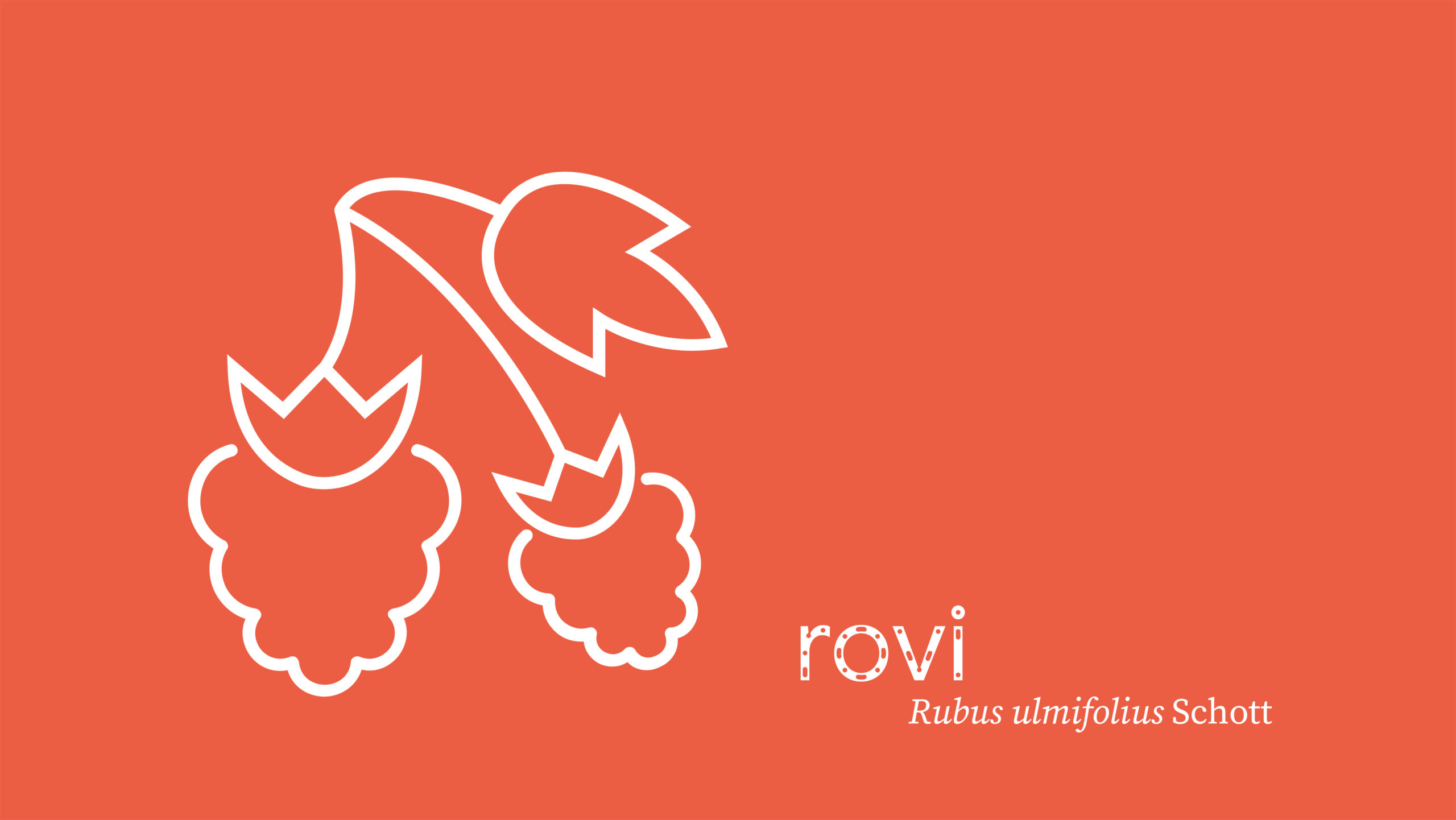 rovi