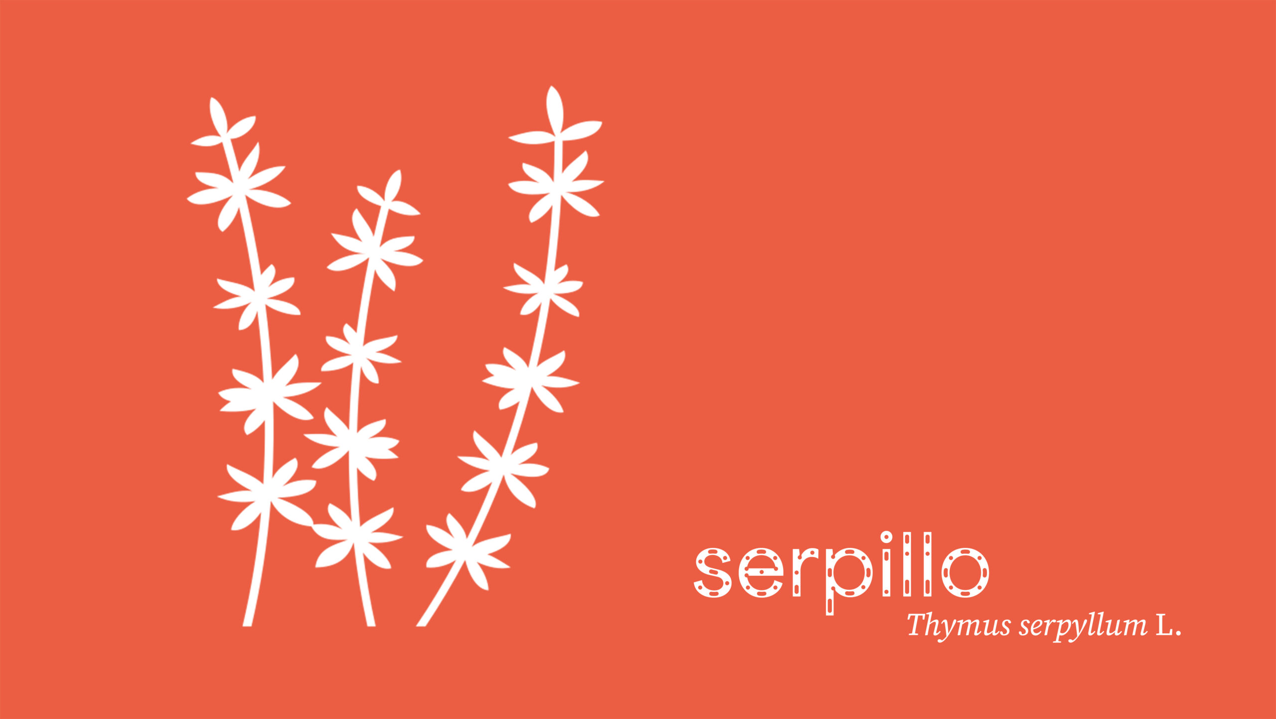 serpillo