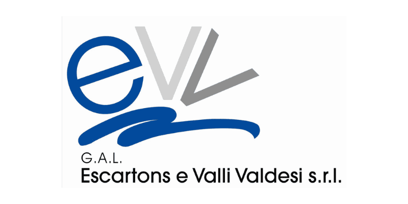 GALL EVV LOGO